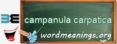 WordMeaning blackboard for campanula carpatica